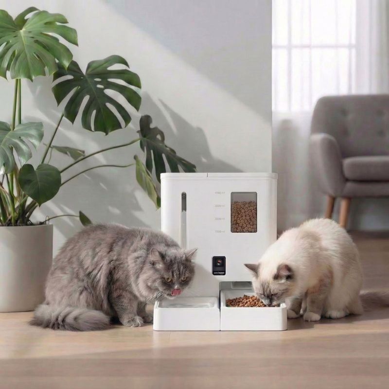 Distributeur Croquettes Chat avec Caméra 2K et Réservoir d’Eau | NOVA