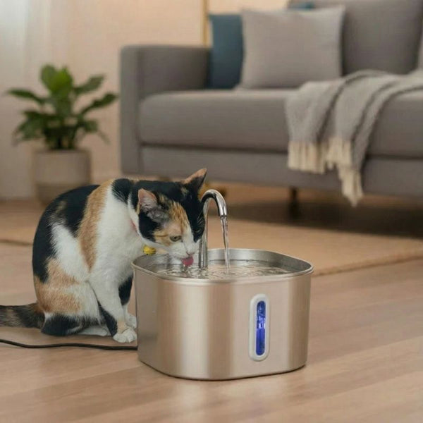 Fontaine à eau pour chat Inox 2,2L | AQUALINE