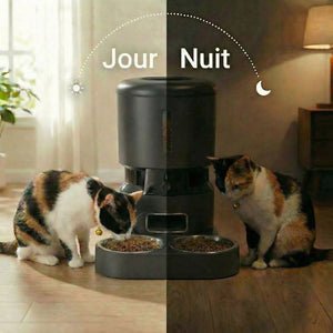 #noir