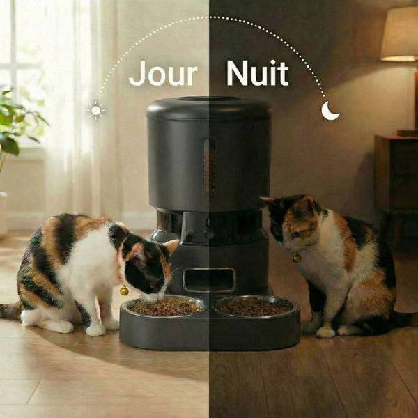 #noir